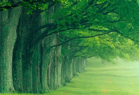 1767523386187557.png image.png