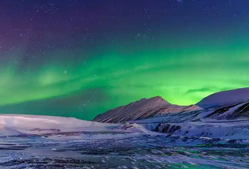 1767523552202957.png image.png