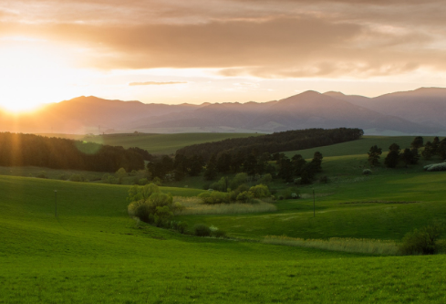 1767523883826761.png image.png