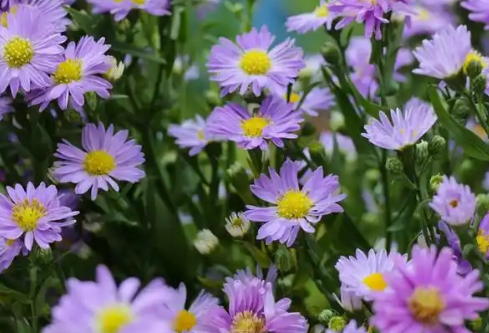 1767524546469451.png image.png