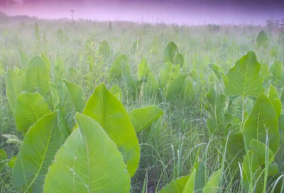 ​入秋了发朋友圈的句子