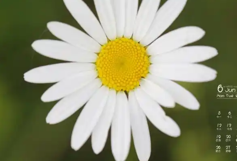 1767525043210680.png image.png