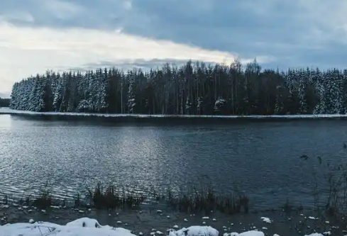 1767525209544025.png image.png