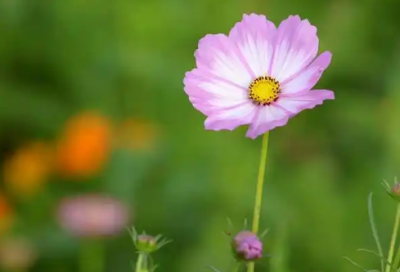 ​正能量朋友圈励志句子