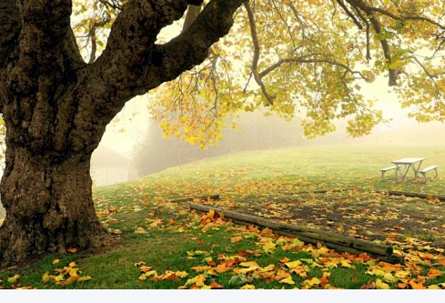 1767525706676778.png image.png