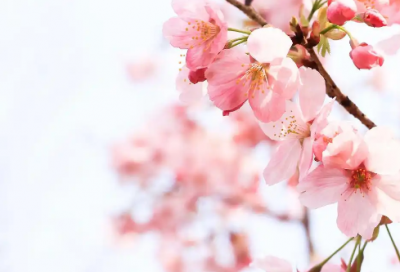 ​经典励志的朋友圈句子