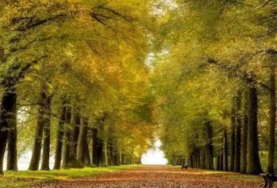 ​朋友圈发下雪幽默的句子