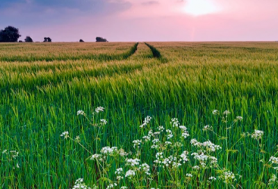 ​冬至发朋友圈的文案