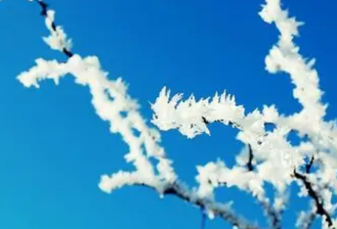 1767527032642163.png image.png