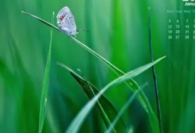 ​立春发朋友圈句子