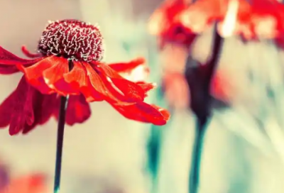 ​生日发朋友圈的文案