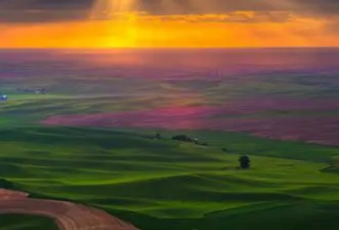 1767527532846661.png image.png