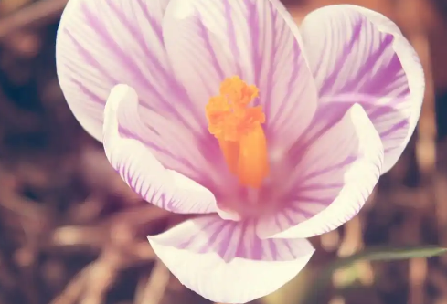 1767527698698295.png image.png