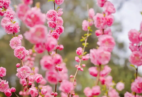 1767528030560087.png image.png