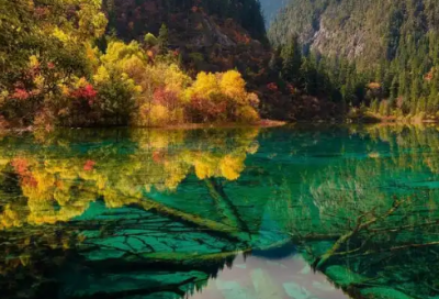 ​冬至暖心朋友圈文案