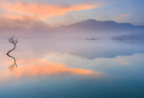 1767528362410876.png image.png