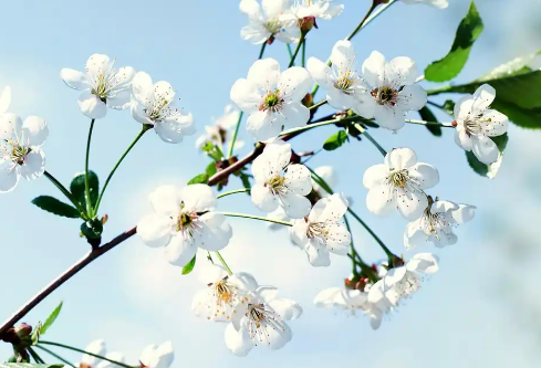 1767528528774170.png image.png