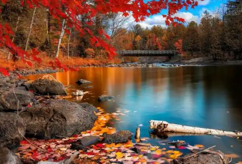 1767528861113510.png image.png