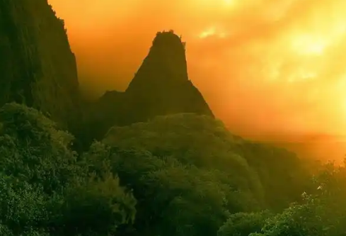 1767529192254903.png image.png