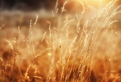 1767529358698860.png image.png