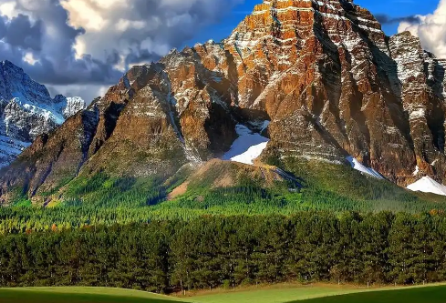 1767529524617934.png image.png