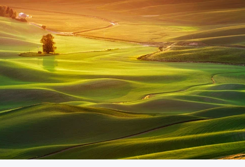 1767529689571977.png image.png