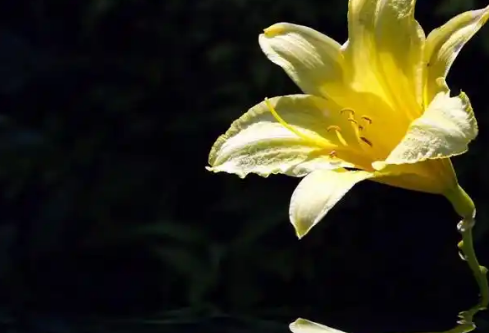 1767530352123813.png image.png