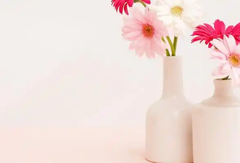 1767530849916457.png image.png