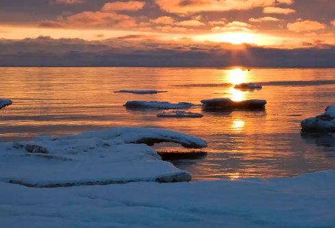 1767531181635506.png image.png