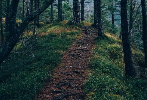 1767531679551655.png image.png