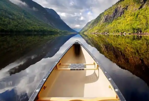 1767532176257122.png image.png