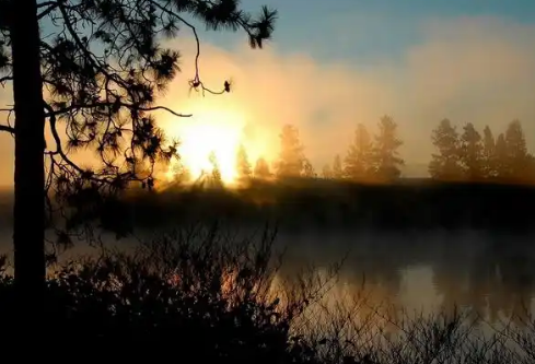 1767532341408550.png image.png