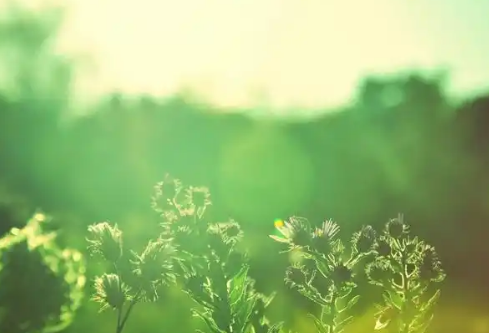 1767533170478128.png image.png