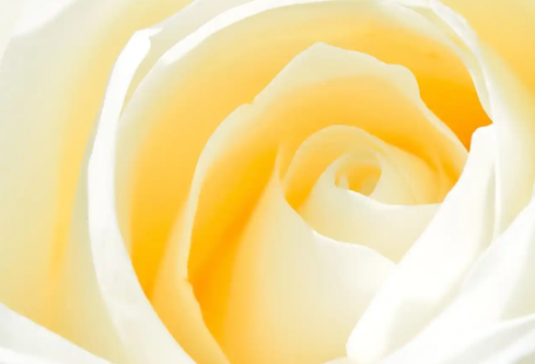 1767533335743885.png image.png