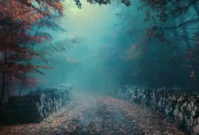 ​容易引起评论的文案(容易引起评论的朋友圈文案)