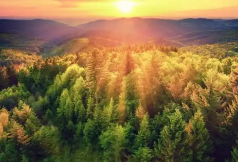 1767534164712973.png image.png