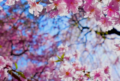 ​激励女生减肥的文案(朋友圈跑步打卡的文案)