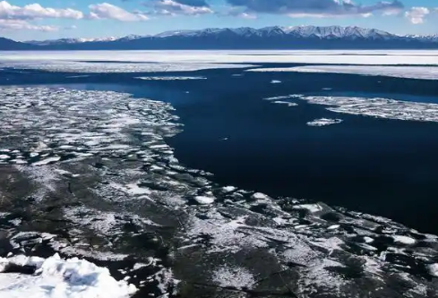 1767534495839407.png image.png