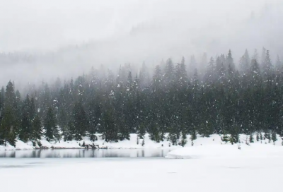 ​最新领结婚证发朋友圈文案