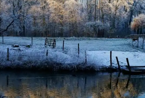 1767535158634275.png image.png