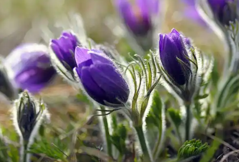 1767535324886391.png image.png