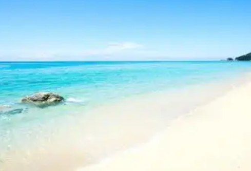 1768489479411246.png image.png