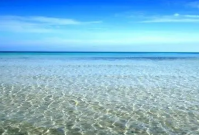 ​赞美桃花的句子