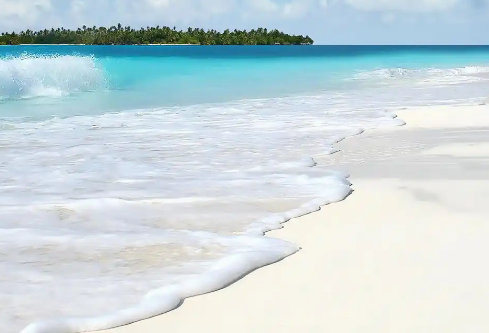 1768489811925443.png image.png