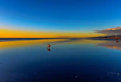 ​关于受人帮助而感恩的句子(发自内心最真实感谢话)