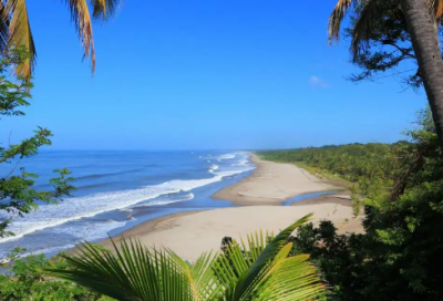 ​关于坚持爱你的句子