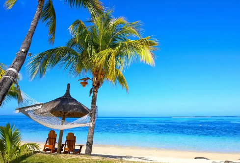 1768492464265808.png image.png