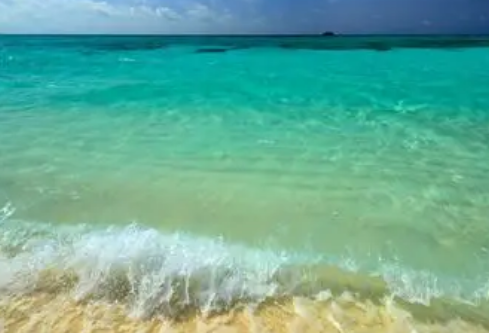 1768492796819993.png image.png