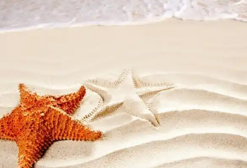 1768493127191779.png image.png