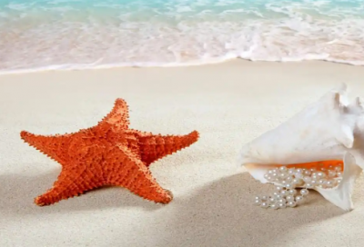 ​2026年实用的幸福优美句子